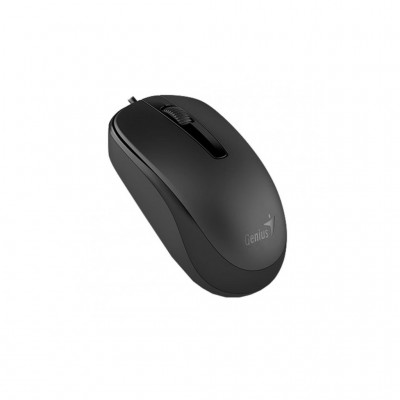 Миша Genius  DX-120 USB Black 31010105100