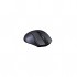 Миша бездротова  A4 Tech G9-500 F-1 Black USB