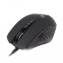 Миша A4Tech V8M Bloody черная USB V-Track