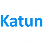 Картридж Konica Minolta Bizhub 223/283/363/423, TN-217/TN-4 (47903) Katun