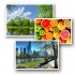 Фотобумага Colorway A4, 260г, glossy, 100л, карт.уп. (PG260100A4)