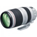 Объектив SONY EF 100-400mm f/4.5-5.6L IS II USM (9524B005)