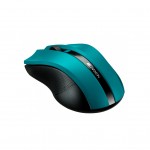 Миша Canyon CNE-CMSW05G Green USB