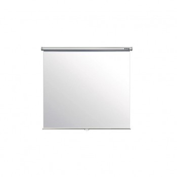 екран Acer F80-S01 163 x 122 cm 4:3 напольный