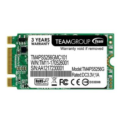 SSD M.2 2242 256GB Team (TM4PS5256GMC101)