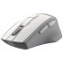 Миша A4Tech FG30S Grey/White USB