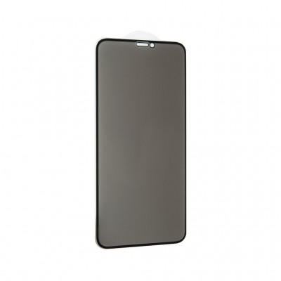 Скло захисне  Gelius Pro 5D Privasy Glass for iPhone XS Max Black (00000070959)