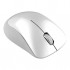 Мишка бездротова Canyon CNE-CMSW11PW Pearl White/Grey USB