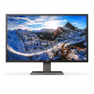 Монітор Philips (439P1/00)