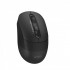 Мишка бездротова A4Tech FB10C Stone Black USB