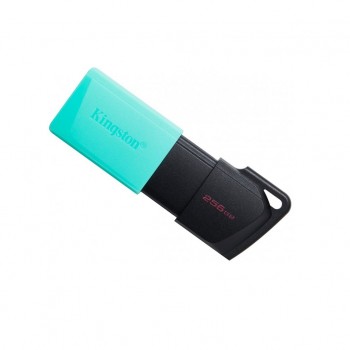 флеш USB 256GB DataTraveler Exodia M USB 3.2 Kingston (DTXM/256GB)