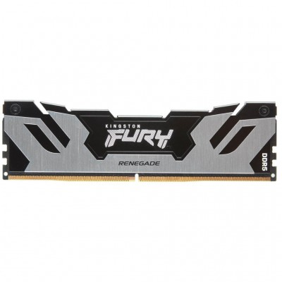 Пам'ять DDR5 16GB 6400 MHz FURY Renegade Silver Kingston Fury (ex.HyperX) KF564C32RS-16