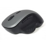 Миша GEMBIRD MUSW-6B-02-BG Wireless Black-Spacegrey (MUSW-6B-02-BG)
