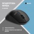 Миша 2E MF280 Silent Wireless/Bluetooth Black (2E-MF280WBK)