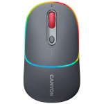 Мишка бездротова Canyon MW-22 Dual Band RGB Wireless Dark Grey (CNS-CMSW22DG)