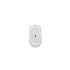 Миша A4 Tech FM26S USB Icy White (4711421993562)