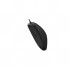 Миша A4 Tech N-530 USB Black (4711421987400)