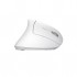 Миша Trust Verto Ergonomic W White (25132)