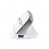 Миша Trust Bayo 2 Ergonomic Wireless/USB-A White (25146)