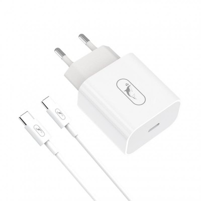 Зарядний пристрій SkyDolphin SC38T (USB TYPE-Cx2.4A) White (MZP-000183) + кабель USB Type-C