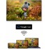 Медіаплеєр Thomson Streaming Box 4K UHD 240G