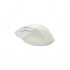 Миша A4 Tech FB45CS Air2 Bluetooth/Wireless Cream Beige (4711421999441)