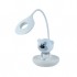 Настільна лампа Kite Bear LED з акумулятором, біла (K24-492-2-1)