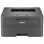 Принтер Brother HL-L2300DR (HLL2442DWYJ1)