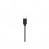 Навушники Philips TAE2146 Black (TAE2146BK/00)