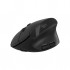 Миша Canyon MW-25 LED Silent Wireless/Bluetooth Black (CNS-CMSW25)