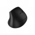 Миша Canyon MW-25 LED Silent Wireless/Bluetooth Black (CNS-CMSW25)
