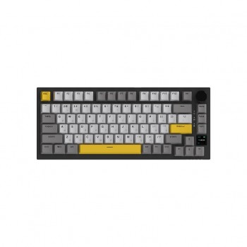 Клавіатура Ajazz AK820 Pro Flying Fish Switch Black RGB USB/Wireles (AK820PRO-FF-BGY)