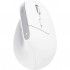 Миша Trust Bayo+ Ergonomic Wireless/Bluetooth White (25399)