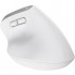 Миша Trust Bayo+ Ergonomic Wireless/Bluetooth White (25399)