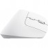 Миша Trust Bayo+ Ergonomic Wireless/Bluetooth White (25399)