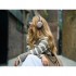 Навушники Sony WH-1000XM5 Smoky Pink (WH1000XM5P.CE7)