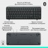 Клавіатура Logitech K250 Bluetooth/Wireless UA Graphite (920-013822)