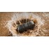 Акустична система Anker SoundCore Boom 3i Black (D5100010)