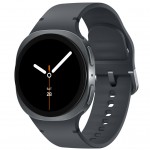 Смарт-годинник Samsung Galaxy Watch 8 40mm Gray (SM-L320NDAASEK)