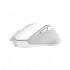 Миша Trust Nito Silent Wireless White (25550)