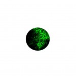 Килимок для мишки Voltronic Razer 3 (RRZ3)