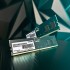 Пам'ять DDR5 32GB 5200 MHz Signature Line Patriot PSD532G52002