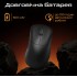 Миша RAWM ER21 Wireless/Bluetooth Black (ER21.black)