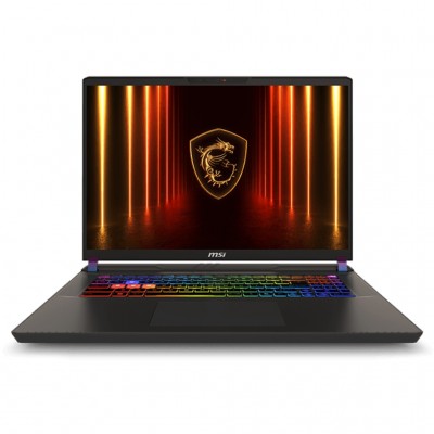 Ноутбук MSI Vector A16 HX A8WHG-019XUA (9S7-15MM72-019)