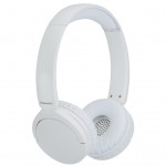 Навушники Panasonic RB-HF630B White (RB-HF630BE-W)