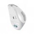 Миша A4 Tech FG35C Plus Wireless White (4711421002974)
