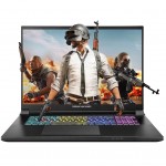 Ноутбук Dream Machines RX5080-18 (RX5080-18UA29)