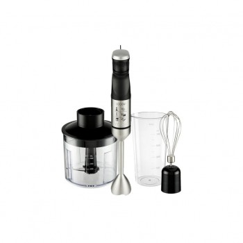 Блендер Rotex RTB1090-B MasterPower