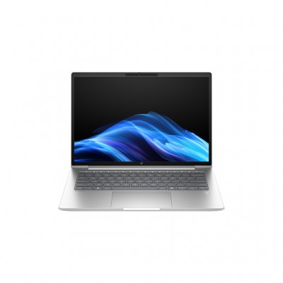 Ноутбук HP ProBook 4 G1a (D4VG2ET)