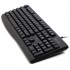 Клавіатура AOC KB120B USB UA Black (KB120B/97)